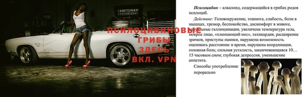 ГАЛЛЮЦИНОГЕННЫЕ ГРИБЫ Осташков