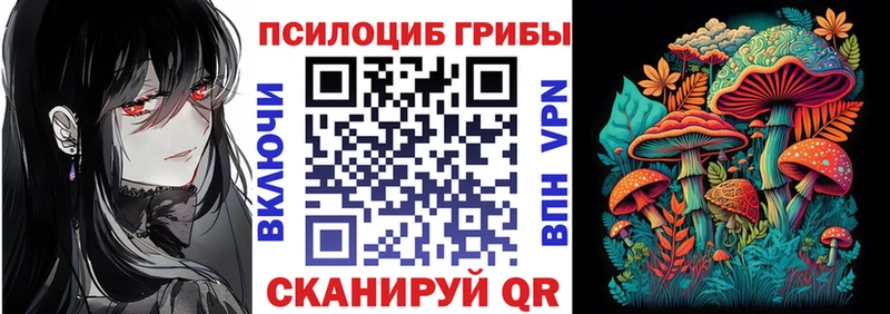 Псилоцибиновые грибы ЛСД  Светлоград 